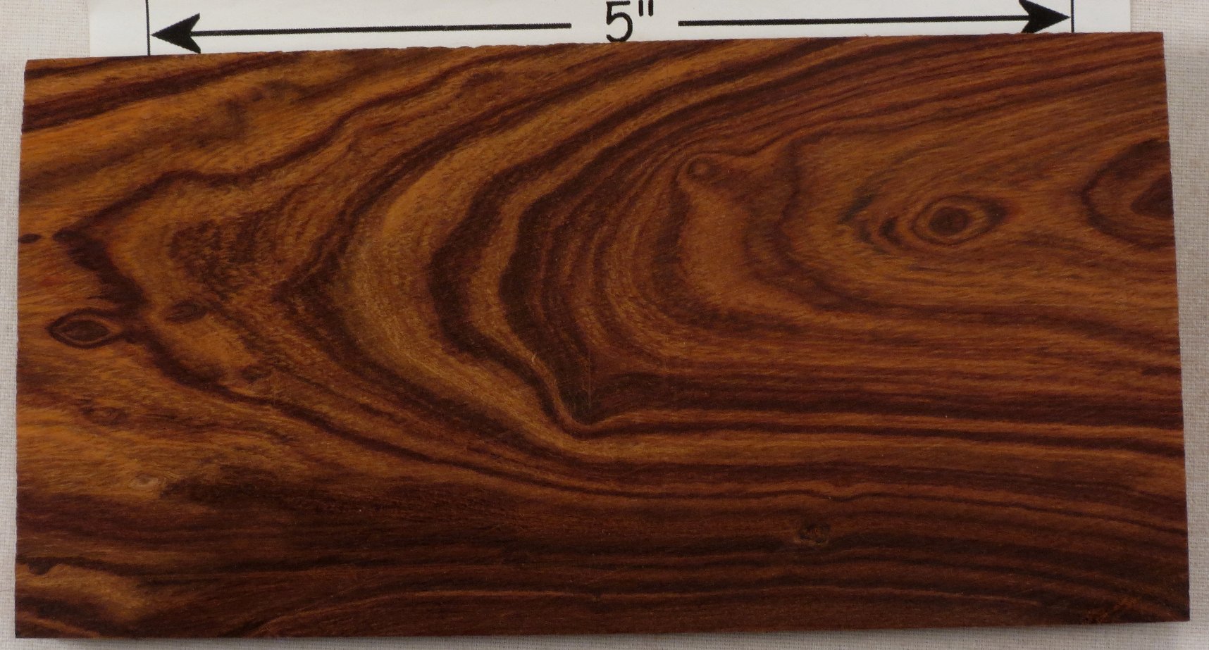 ironwood, desert 28a s50 plh.jpg